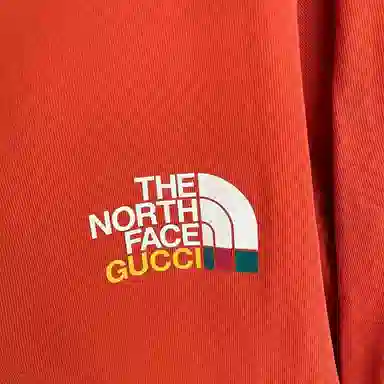 GUCCI x THE NORTH FACE Logo