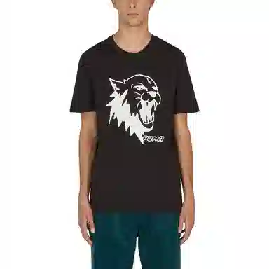 PUMA T