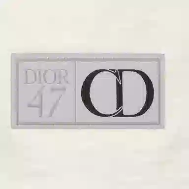 DIOR SS24 T