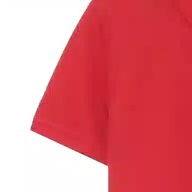 Burberry Polo