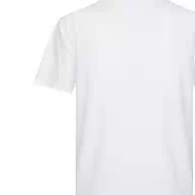Burberry T