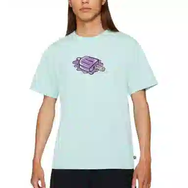 Nike SB T