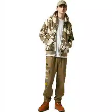 Aape