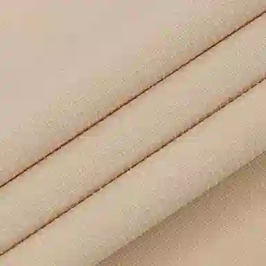 THE NORTH FACE SS24 Logo