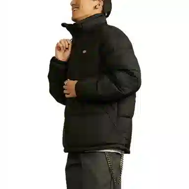 Dickies Logo