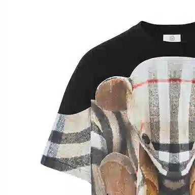 Burberry Thomas T