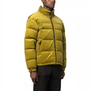 THE NORTH FACE 1992 Logo