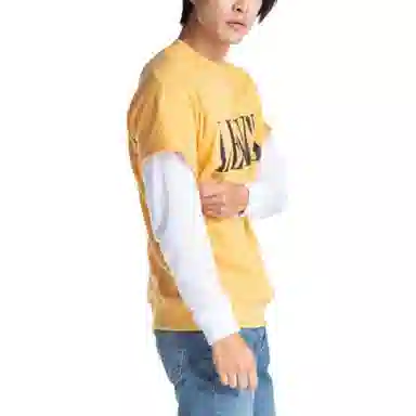 levis T