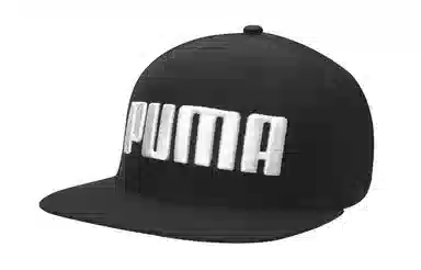 PUMA Logo