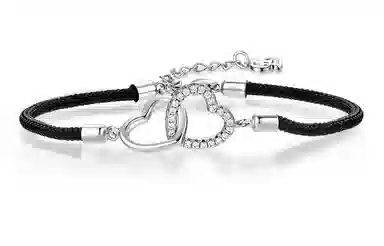 DaisyFellowes AY DF 925