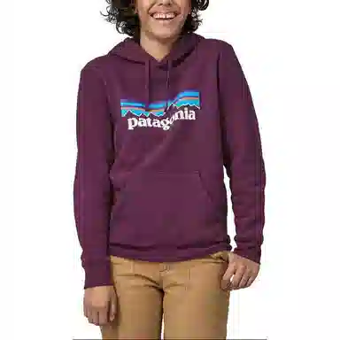 patagonia SS22 Logo