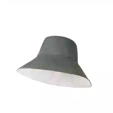 DZP