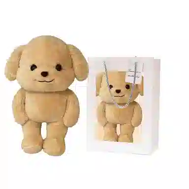 20cm30cm