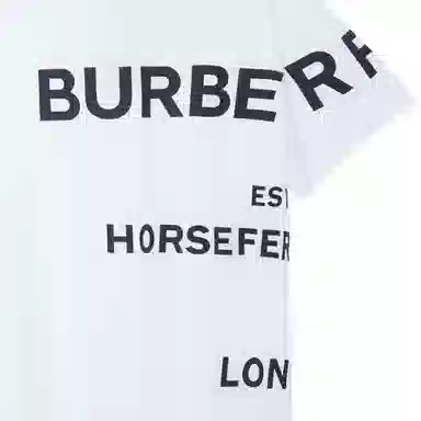 Burberry Horseferry oversize T
