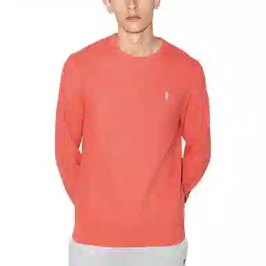 Polo Ralph Lauren Logo