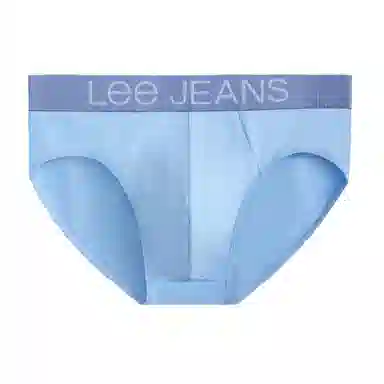 Lee 1