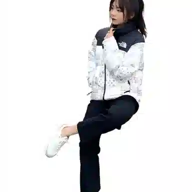 THE NORTH FACE 1996 Nuptse