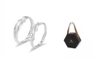 RINGLOVE ins
