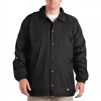 Dickies Logo