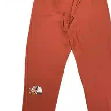 GUCCI x THE NORTH FACE Logo