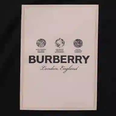 Burberry T