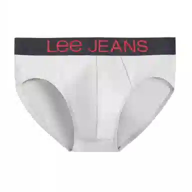 Lee 1