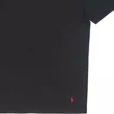Polo Ralph Lauren T 3