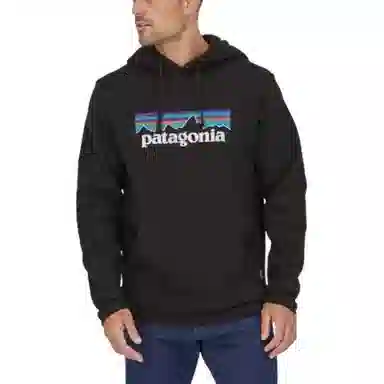 patagonia SS22 Logo