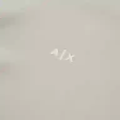 ARMANI EXCHANGE SS24 Logo