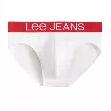 Lee 1