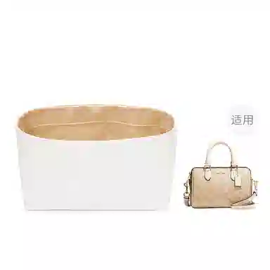 FANJI Coachmini