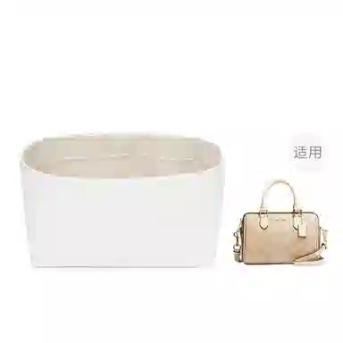FANJI Coachmini