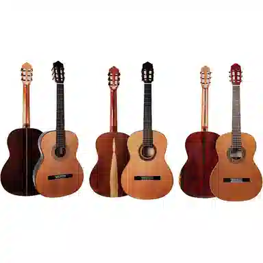 (Kapok) KAS001KAS002 39