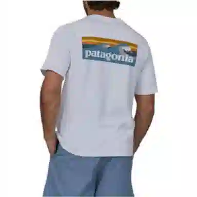 patagonia T