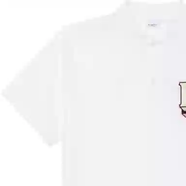 Burberry FW22 LogoPolo