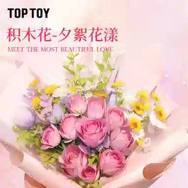 TOP TOY 599pcs