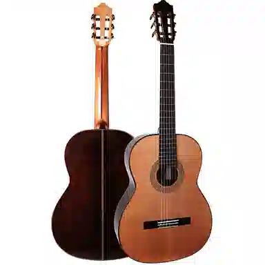 (Kapok) KAS001KAS002 39