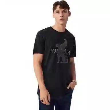 DEGAIA T