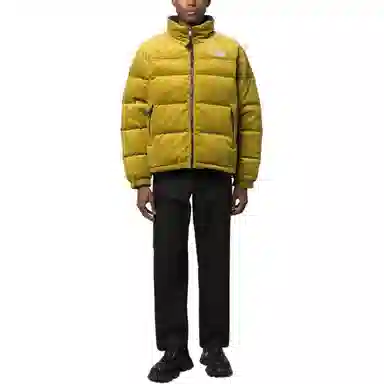 THE NORTH FACE 1992 Logo