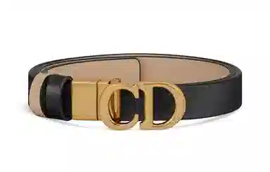 DIOR Letter Logo Smooth Buckle Belt Black 2cm
