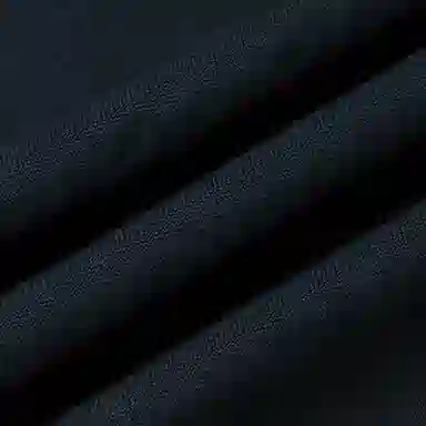 Polo Ralph Lauren Logo