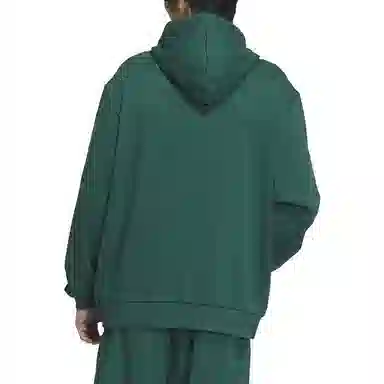 adidas originals GRAPHIC HOODIE