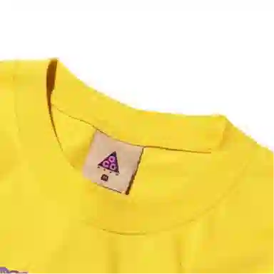Nike ACG T