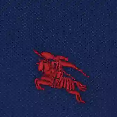 Burberry polo