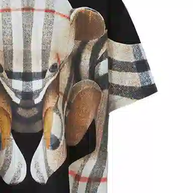 Burberry Thomas T