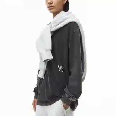 alexander wang Logot