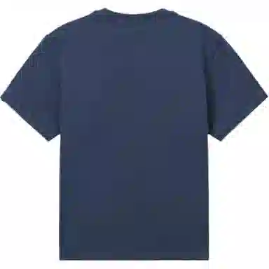 levis T