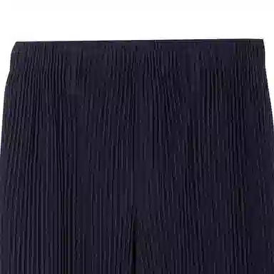 Homme Pliss Issey Miyake