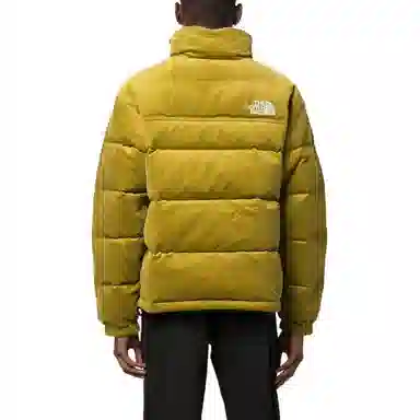 THE NORTH FACE 1992 Logo