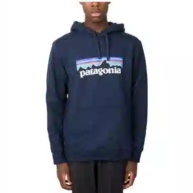 patagonia SS22 Logo
